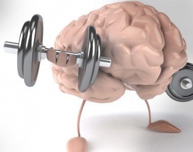"Качаем мозг": интеллектуальный фитнесс