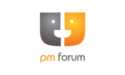 Мозговой штурм руководителей проектов на PM Forum 2013 