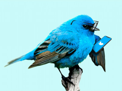 Twitter - як підкорити світ повідомленнями в сто сорок символів