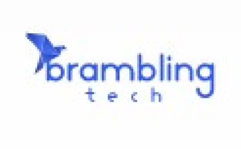 Вакансии от BramblingTech