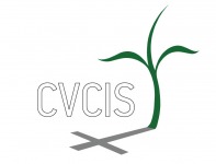 Вакансии от CVCIS