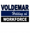 Работа от Voldemar Holding